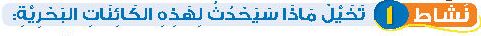 نشاط 1 تخيل ماذا سيحدث لهذه الكائنات البحرية